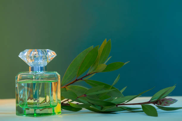 Malachite perfume from fragrance lounge