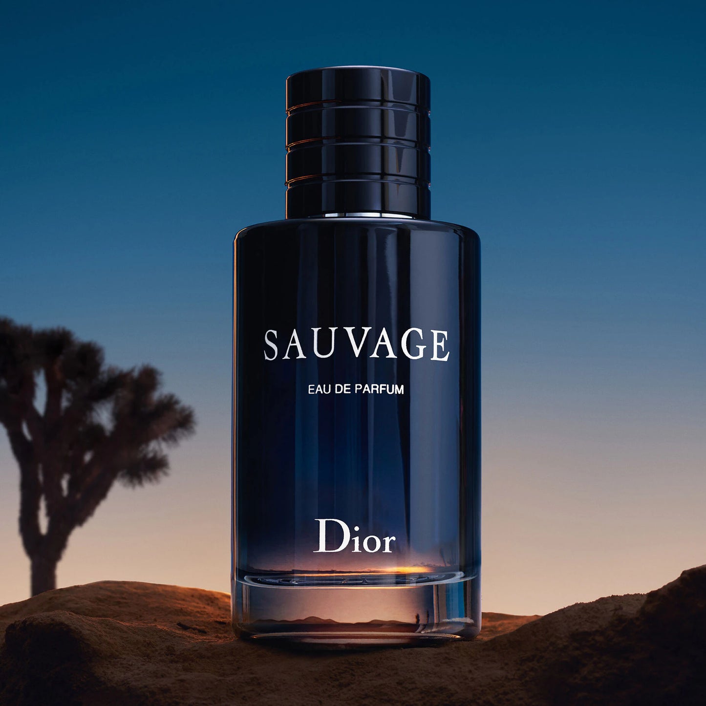 DIOR Sauvage Eau de Parfum For Men