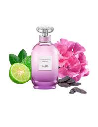 COACH Dreams Moonlight Eau De Parfum