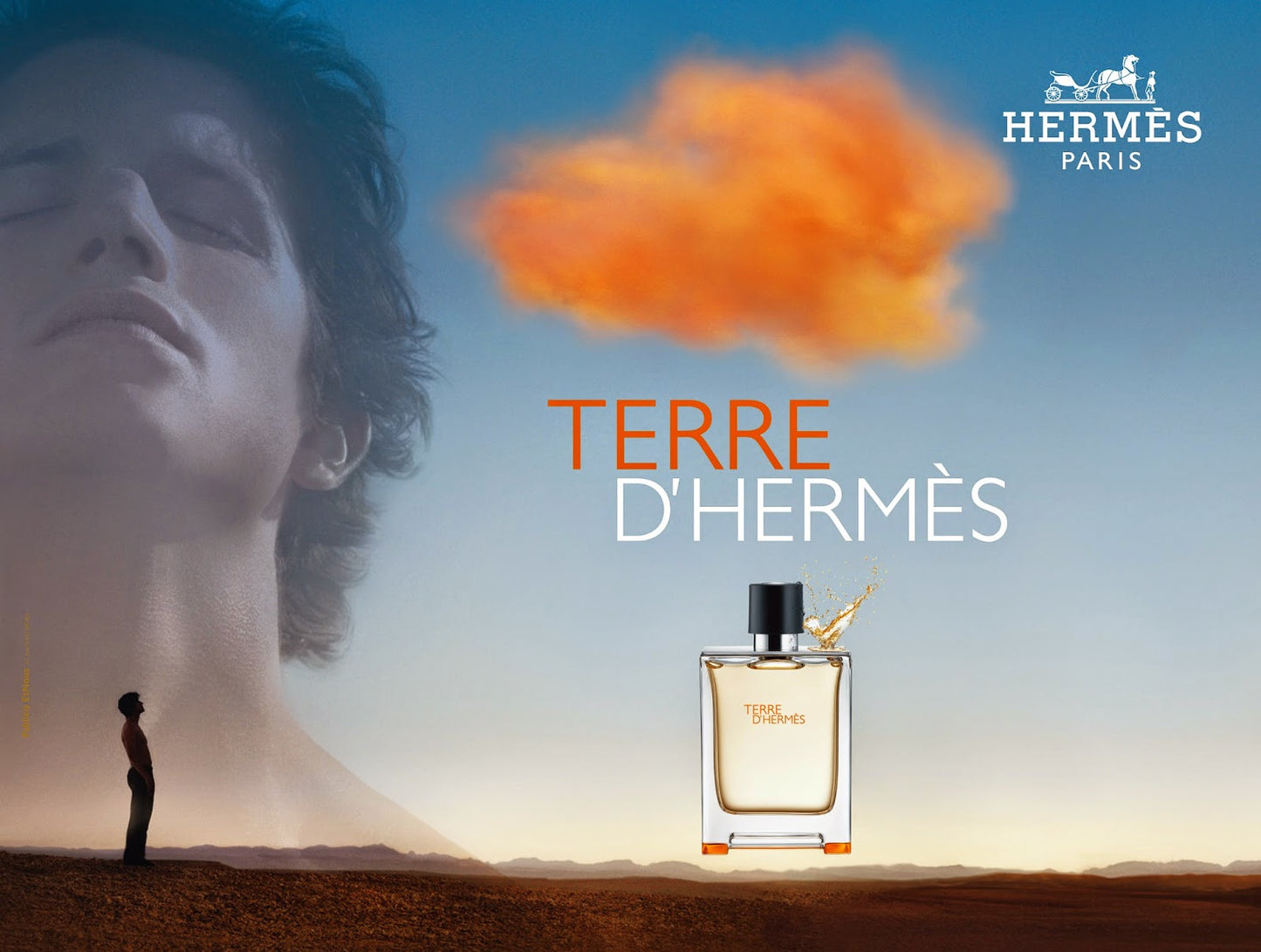 HERMES Terre D'HERMES Eau De Toilette For Women