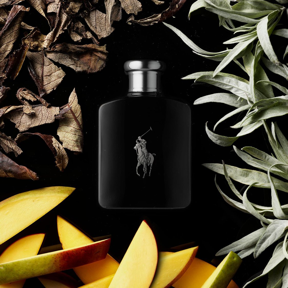 RALPH LAUREN Polo Black Eau De Toilette