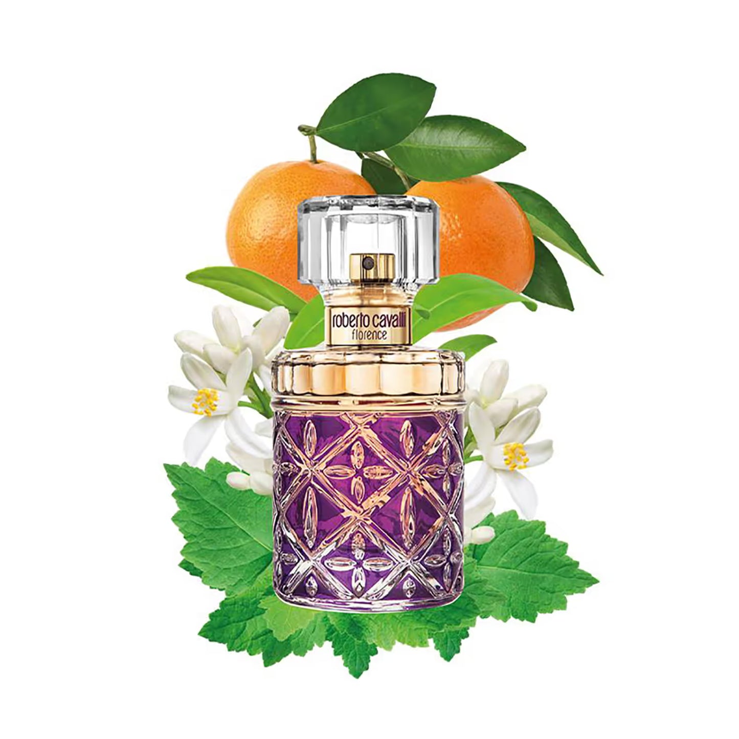 ROBERTO CAVALLI Florence Eau De Parfum