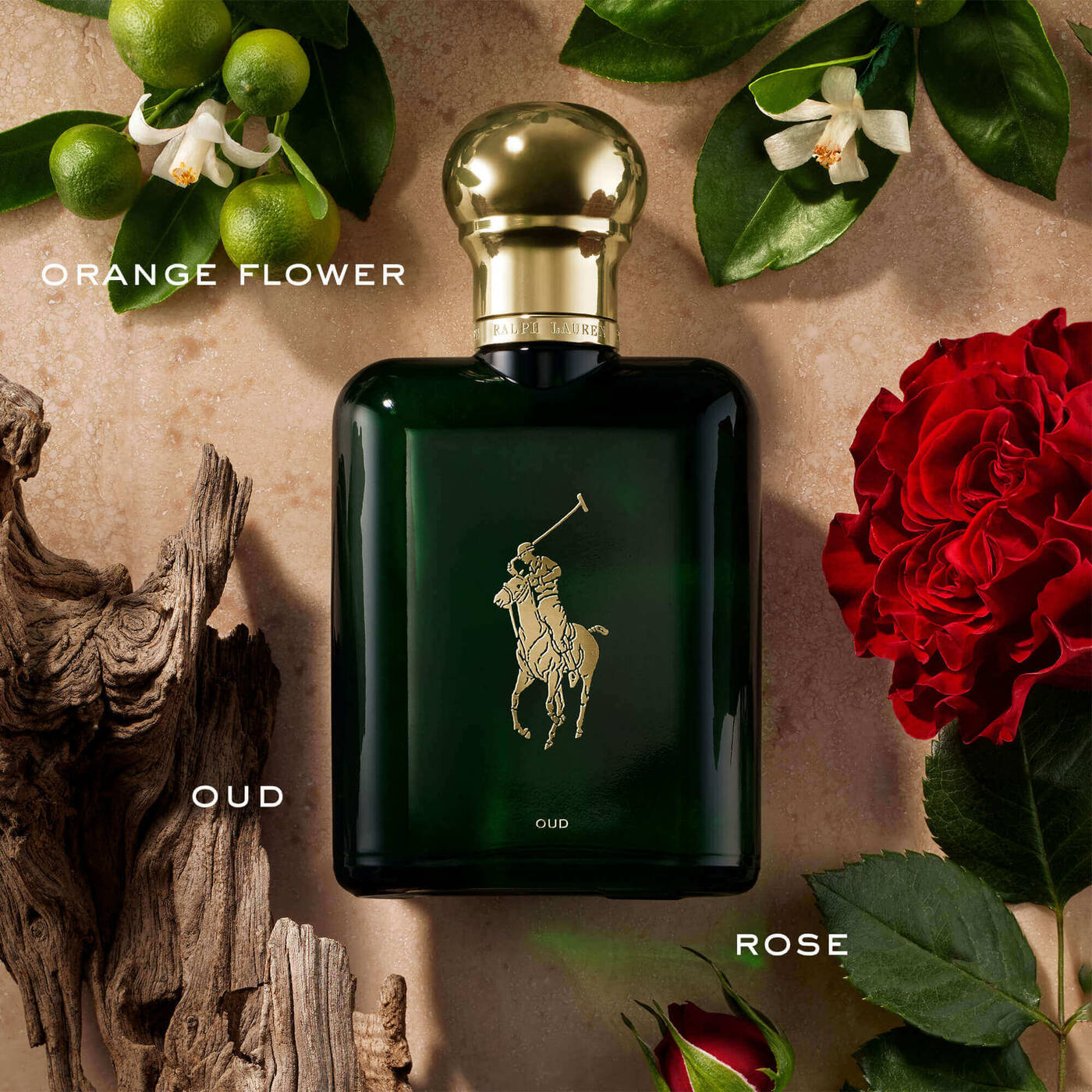 RALPH LAUREN Polo Oud Eau de Parfum for Men